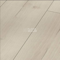 Ламинат Parador Trendtime 6 1730468 Дуб Лофт Белый фото 1 | FLOORDEALER